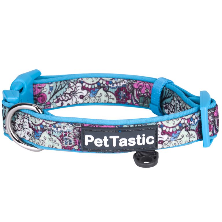 The Best Self Padded Dog Collar PetANtastic