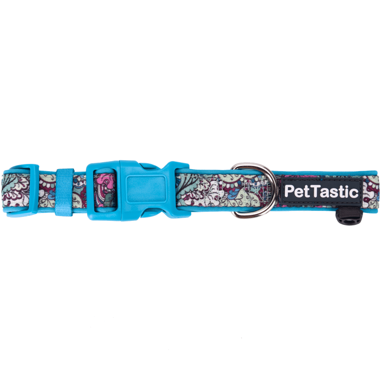 The Best Self Padded Dog Collar PetANtastic
