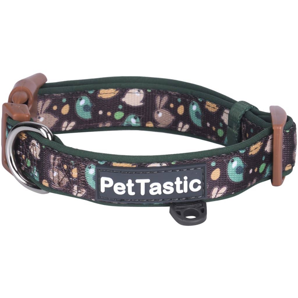 Best Friends Padded Dog Collar PetANtastic