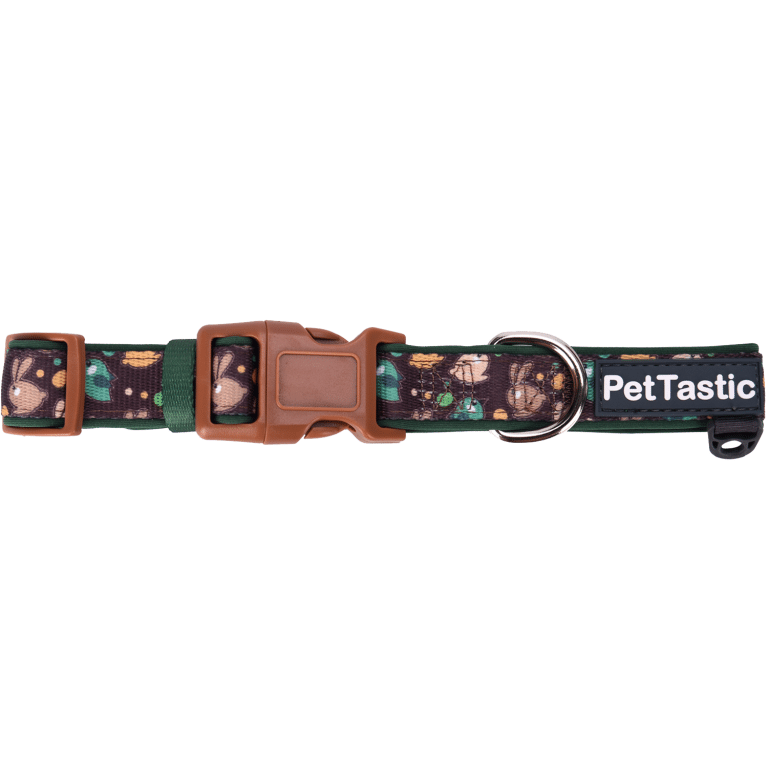 Best Friends Padded Dog Collar PetANtastic