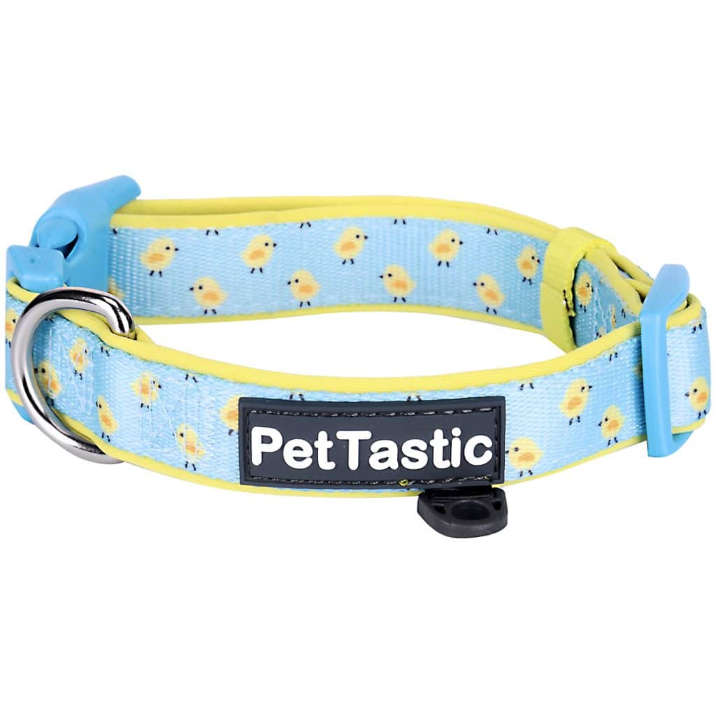 Dear Baby | Padded Dog Collar – PetANtastic