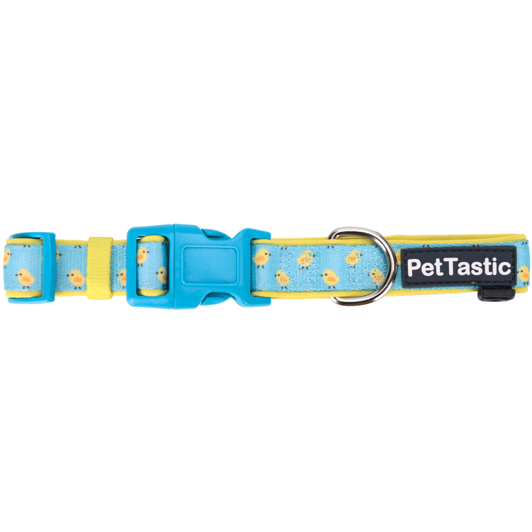Dear Baby | Padded Dog Collar – PetANtastic