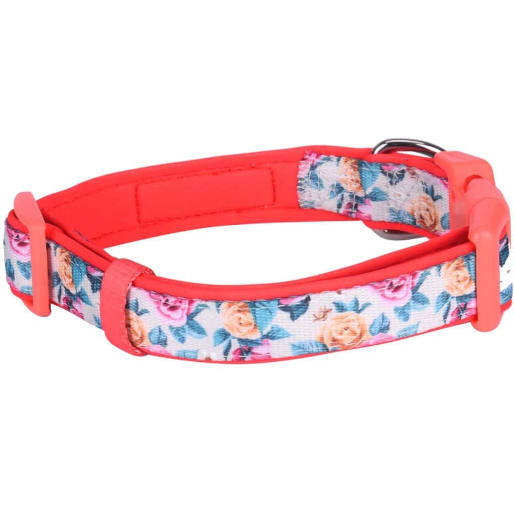 Grace Padded Dog Collar PetANtastic